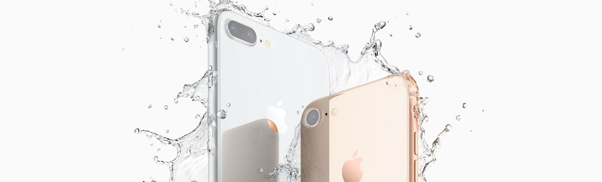 特殊ガラスコーティングで守る！